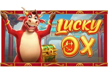 Pengalaman seru bermain Bingo bersama komunitas aktif Zoya55